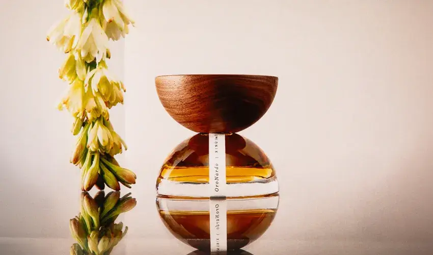 xinu perfumy